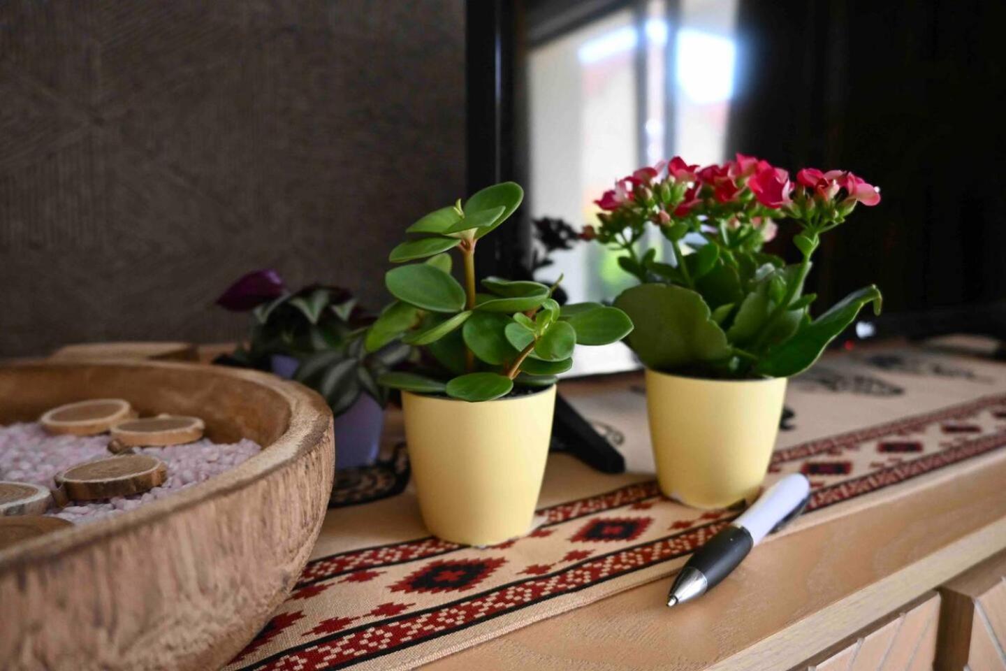 Cosy Apartment Near Strasbourg Mommenheim Екстер'єр фото
